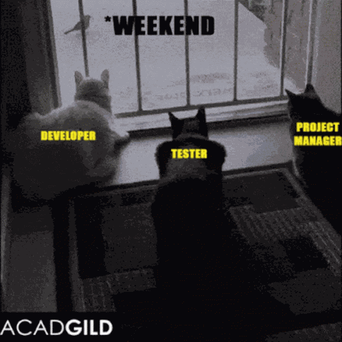 Bug GIF