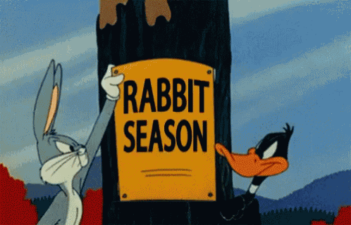 Bugs Bunny Daffy Duck GIF