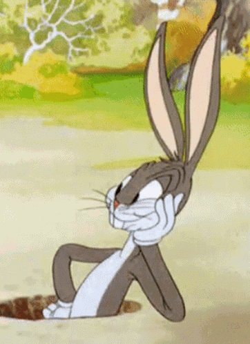 Bugs Bunny Loony Tunes GIF