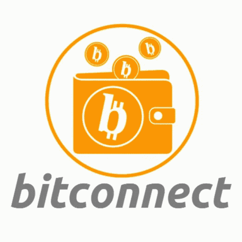 Buidl Software Development GIF
