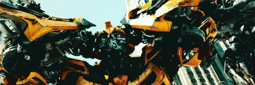 Bumblebee Oh No GIF