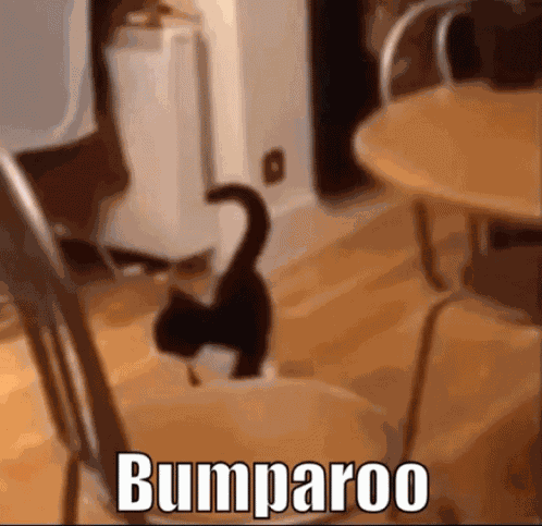 Bump Bumps GIF