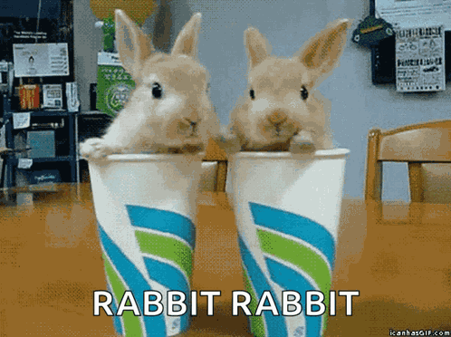 Bunnies Paper Cups GIF