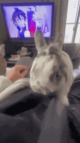 Bunny Attack GIF