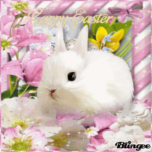 Bunny Bear GIF