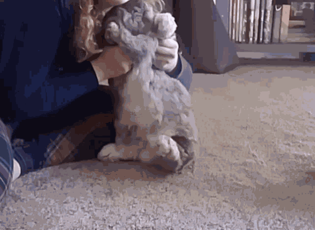 Bunny Dance Dancing GIF