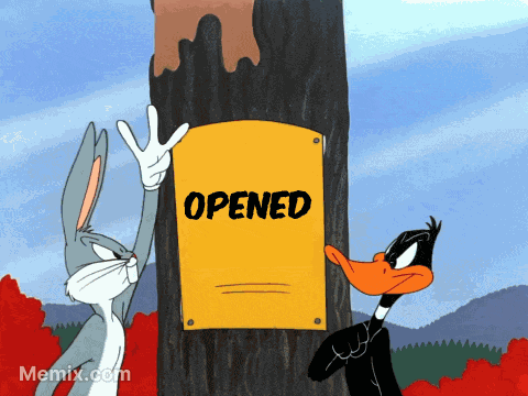 Bunny Funny GIF