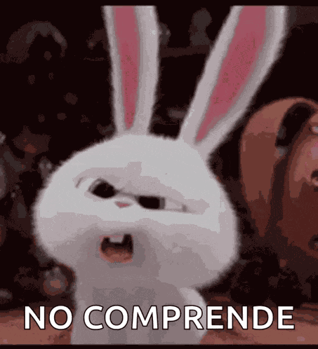 Bunny What GIF
