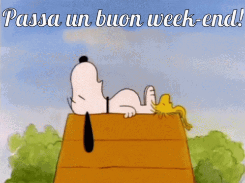 Buon Fine Settimana Buon Weekend GIF