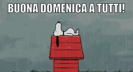 Buona Domenica A Tutti Felice Domenica Passa Una Buona Domenica Finalmente è Domenica GIF