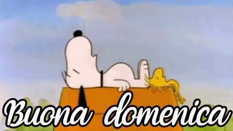 Buona Domenica Domenica Riposare Dormire Snoopy Peanuts GIF