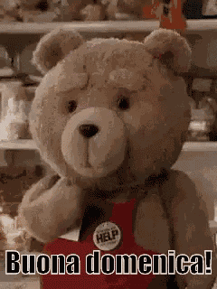 Buona Domenica GIF
