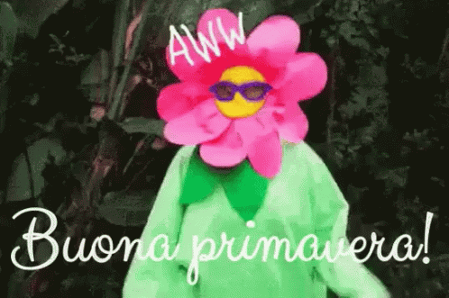 Buona Primavera Primavera Evviva Marzo Aprile Maggio Fiori Fiorire Bel Tempo GIF