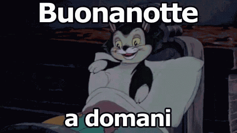 Buonanotte Notte Sogni D'Oro A Domani Letto Pinocchio Gatto GIF