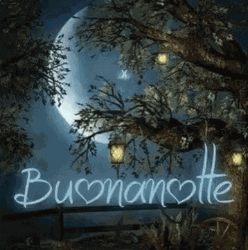 Buonanotte Sogni GIF