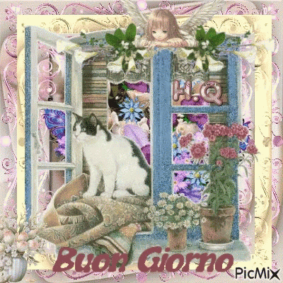 Buongiorno Cat GIF