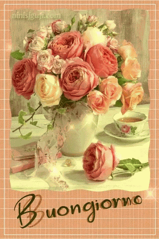 Buongiorno Rosa GIF