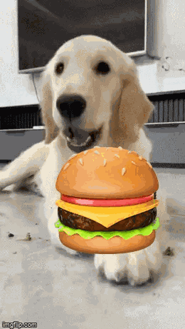 Burger Burger Dog GIF
