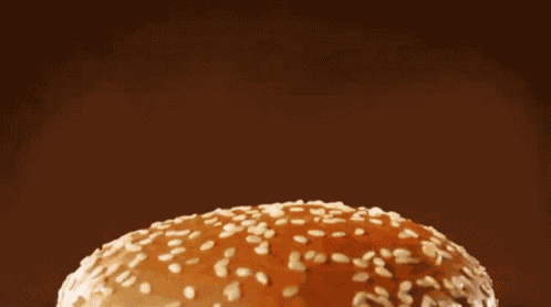 Burger King Bacon Cheese Burger GIF