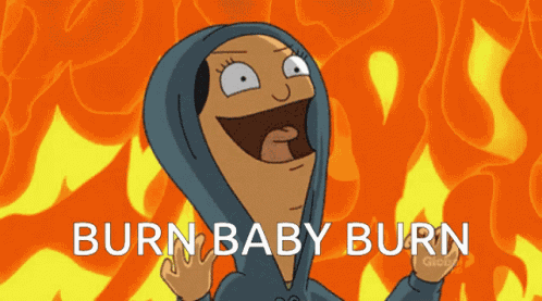 Burn Baby Burn Louise GIF