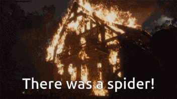 Burn Spider GIF