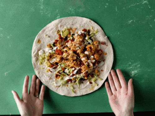 Burrito Burritos GIF