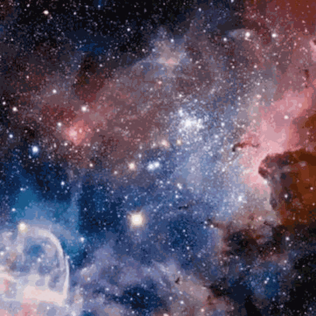 Burritoespacial Gato GIF