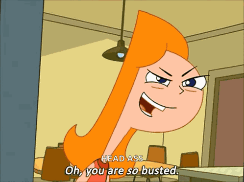 Busted Phineas And Ferb GIF
