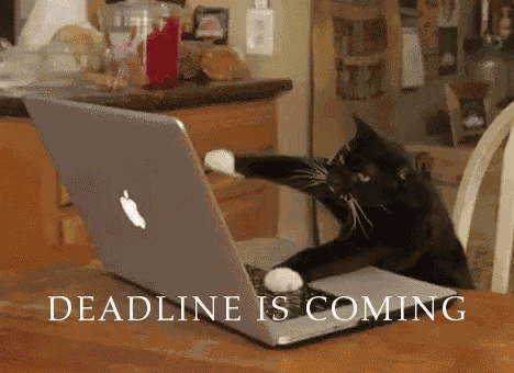 Busy GIF