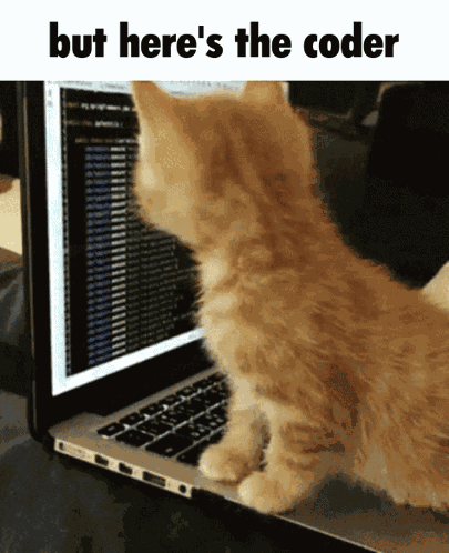 But Here'S The Coder GIF