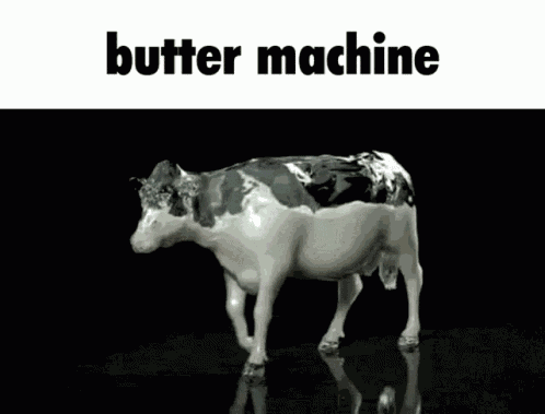 Butter Cow Fast GIF