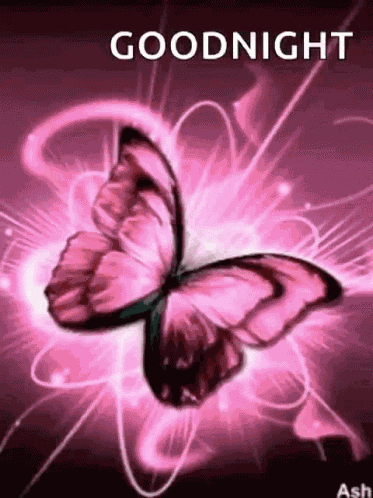 Butterflies Beautiful GIF