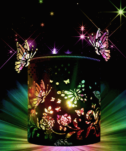 Butterflies Butterfly GIF