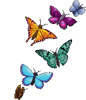 Butterflies Fly Sticker