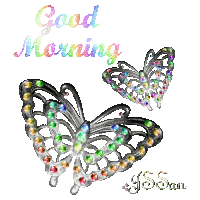 Butterflies Good Morning Sticker