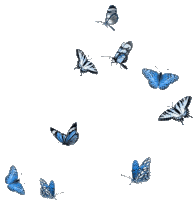 Butterflies Sticker