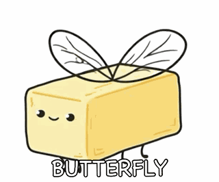 Butterfly Butterflies GIF