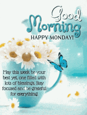 Butterfly Daisy Flower Monday Good Morning Blessings Grateful GIF