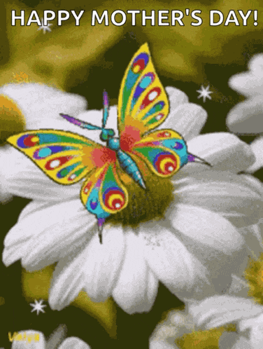 Butterfly GIF