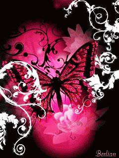 Butterfly Design GIF