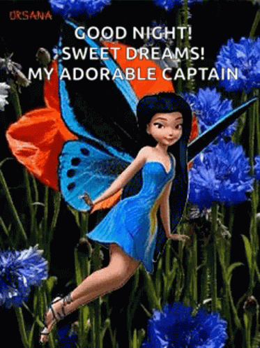 Butterfly Fairy GIF