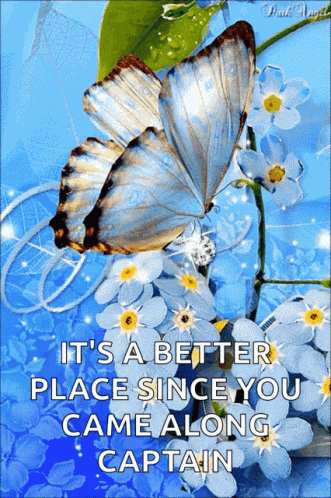 Butterfly Flower GIF
