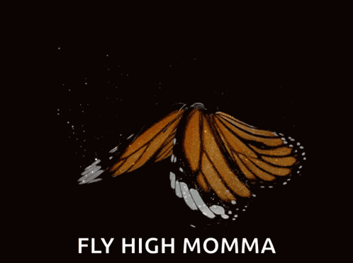 Butterfly Flying GIF