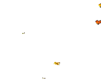 Butterfly Freedom Sticker