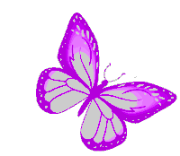 Butterfly Freedom Sticker