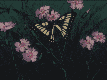 Butterfly Green GIF
