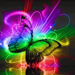 Butterfly Rainbow GIF