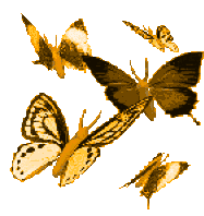 Butterfly Star Sticker