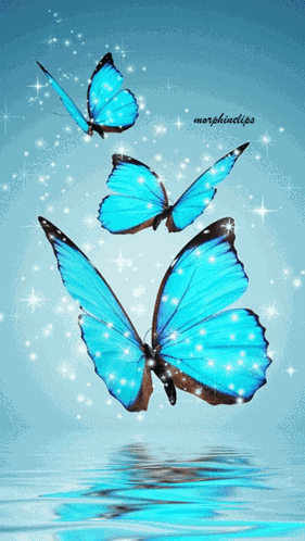 Butterfly GIF