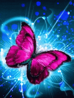 Butterfly GIF